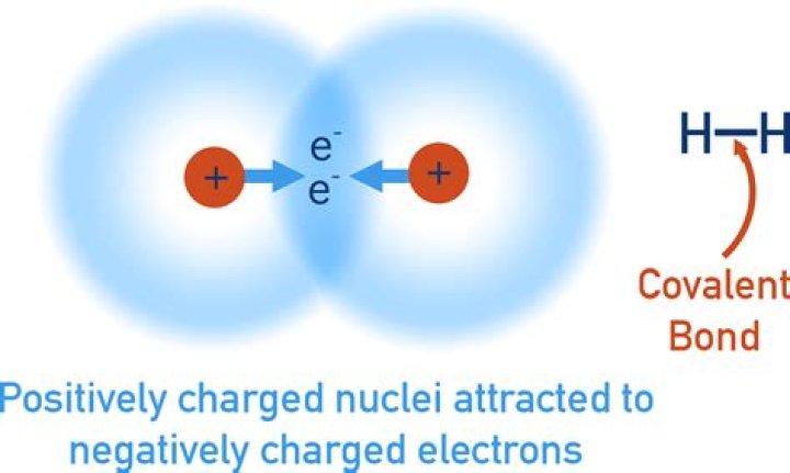 Where are the electrons in a covalent bond
