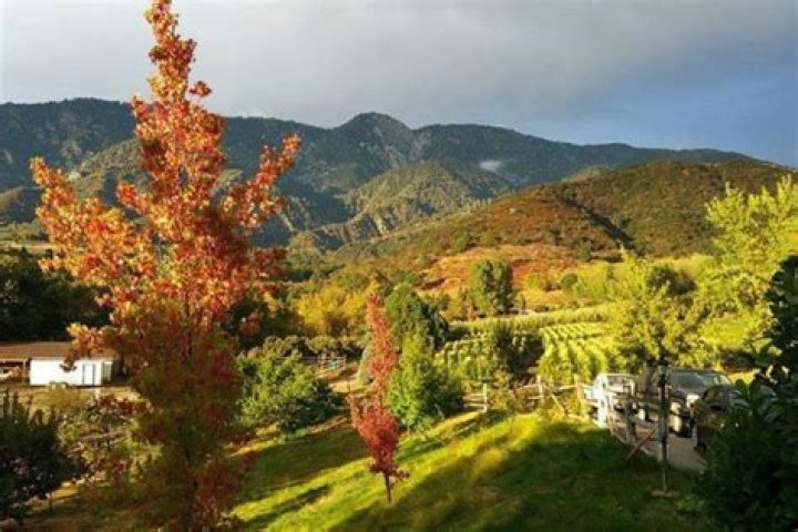 Where are the fall colors in Los Angeles