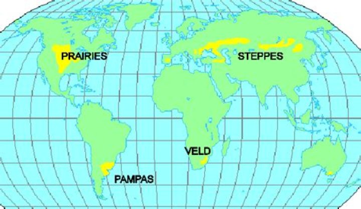 Where are the Velds located