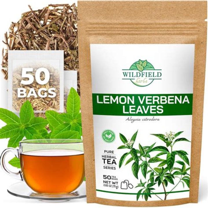 Where can I buy lemon verbena