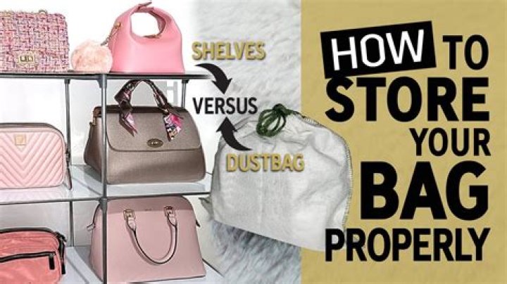 Where can I store my purses