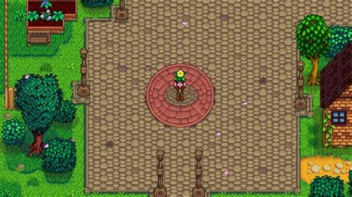 Where can u find daffodils