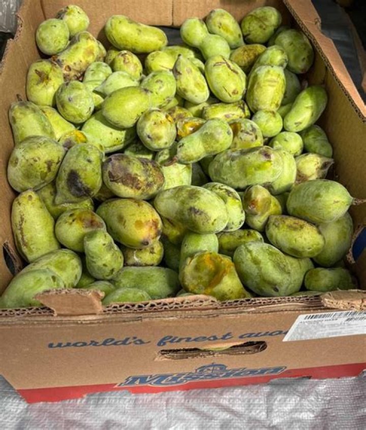 Where can you find Pawpaws