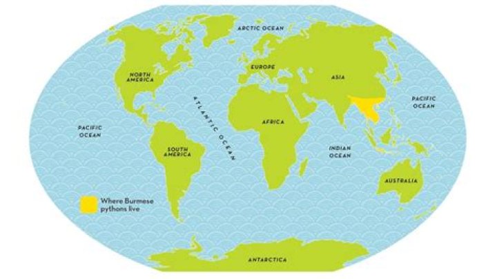 Where did repast come from