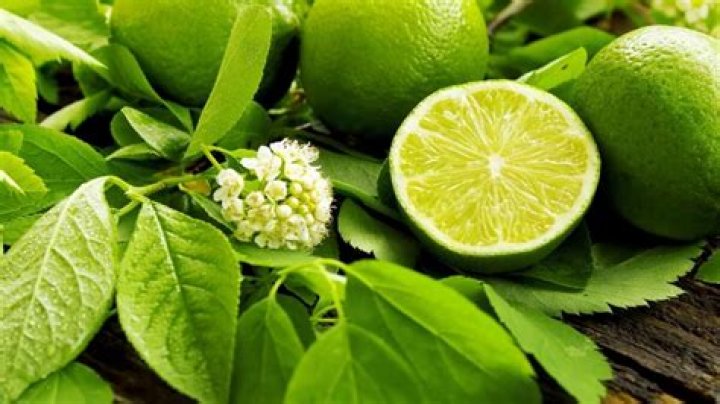 Where do I find lime leaves