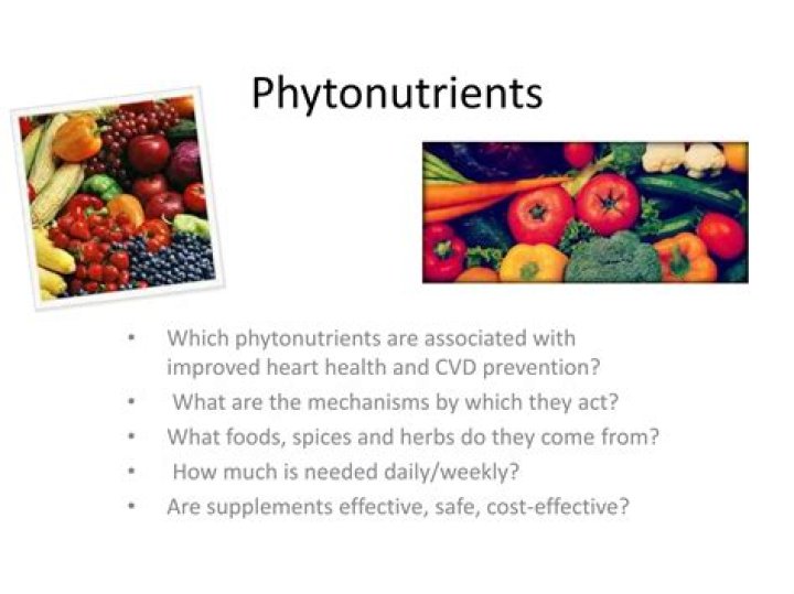 Where do phytonutrients come from