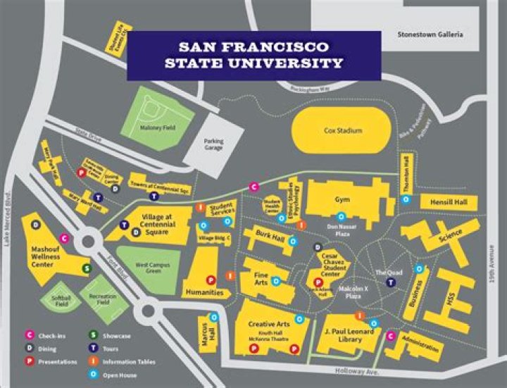 Where do SFSU students live