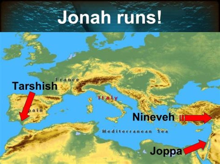 Where does Jonah Heim live