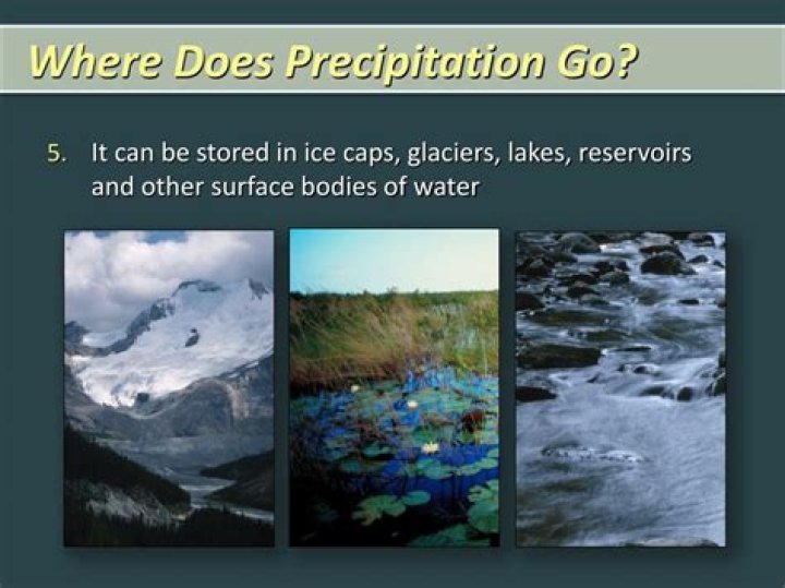 Where does precipitation go