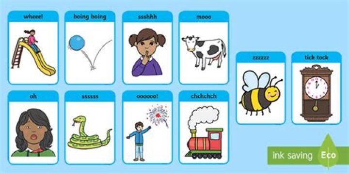 Where does the word phonics come from