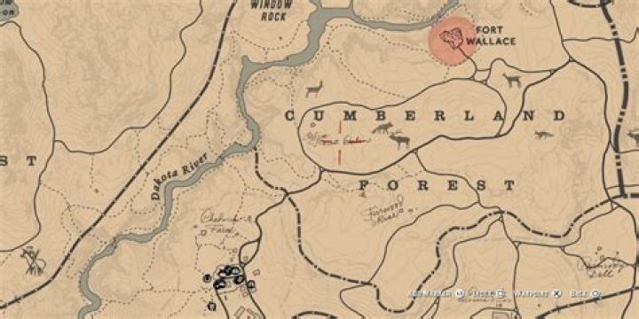 Where is Driscolls located