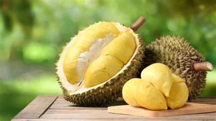 Where is durian fruit found