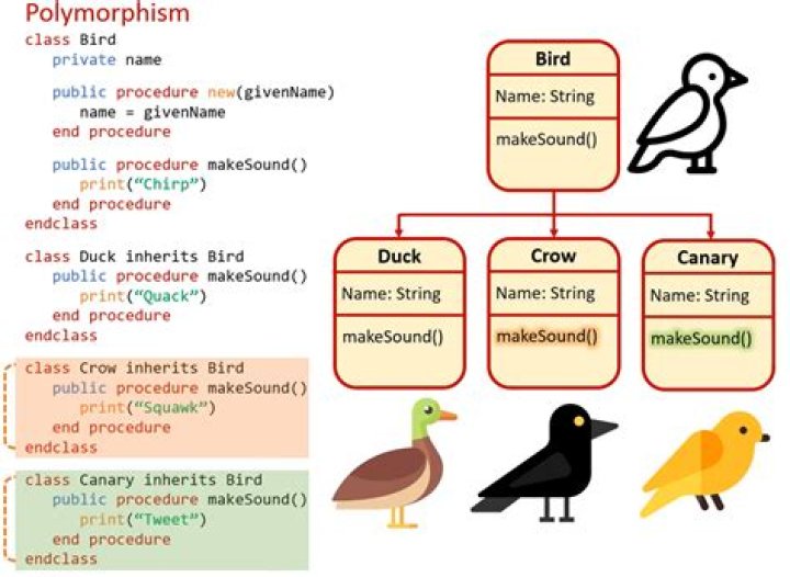 Where is polymorphism used