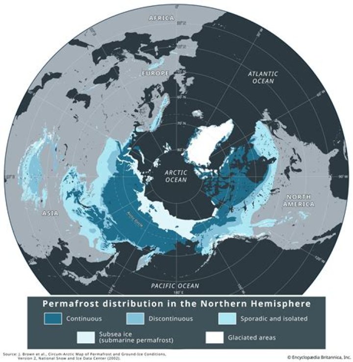 Where is the subarctic