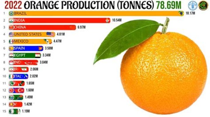 Which African country produces the most oranges