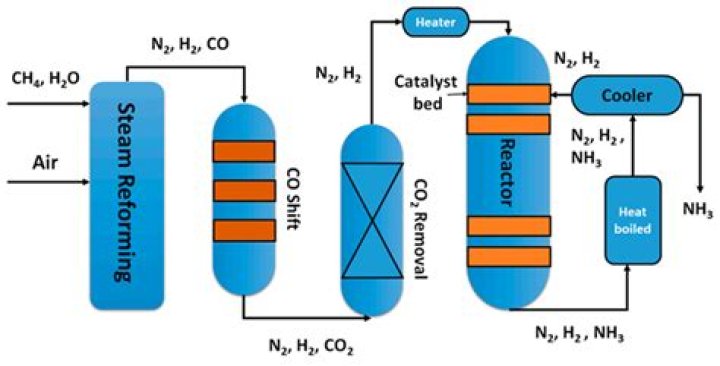 Which catalyst is used in the Haber process for making ammonia