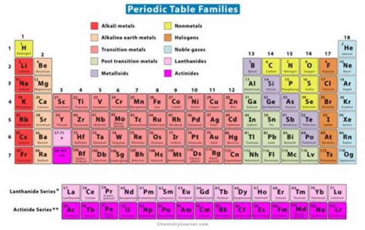Which family in the periodic table are the most reactive nonmetals