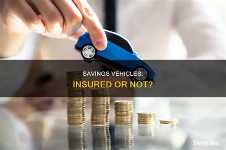 Which is a type of savings vehicle