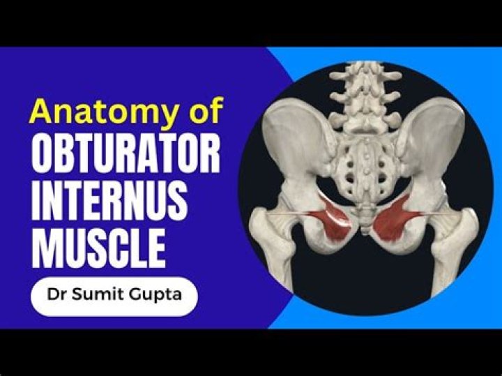 Which is the insertion of the obturator Internus