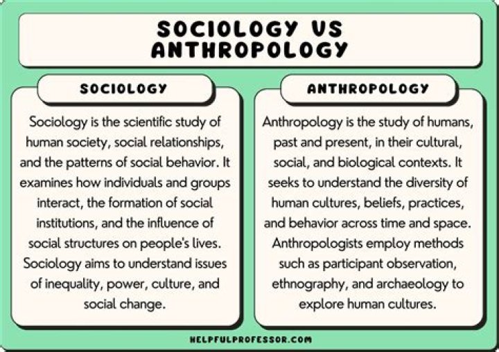 Which research design has its origin in anthropology and sociology