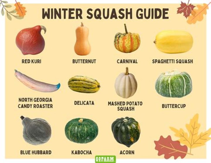 Which squash is not edible