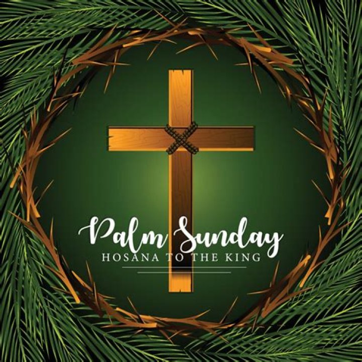 Who discovered Palm Sunday