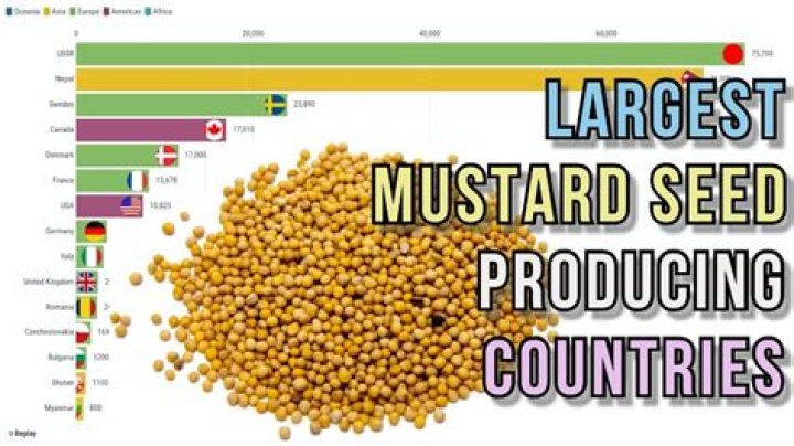 Who grows the most mustard