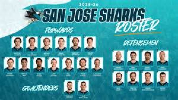 Who is number 20 on the Sharks
