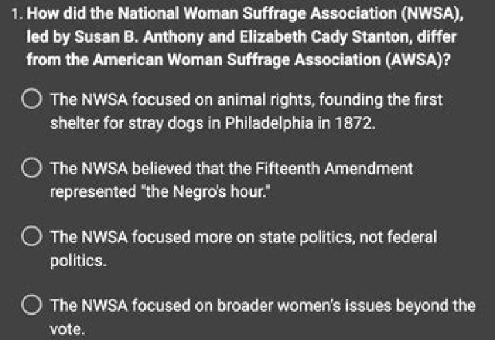 Why did the Nwsa and Awsa split