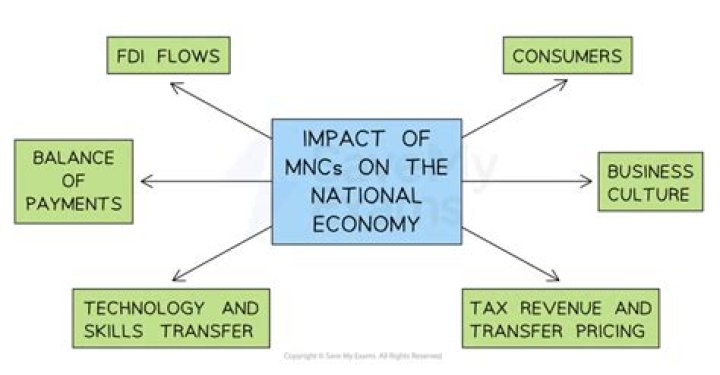 Why do MNCs invest in developing countries
