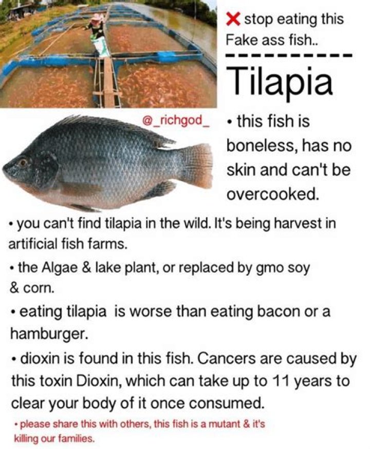 Why does tilapia taste bad