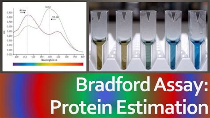 Why is Bradford assay more sensitive