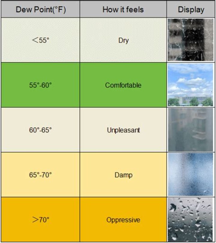 Why is dew point important