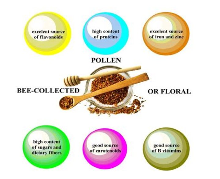 Why is pollen so important