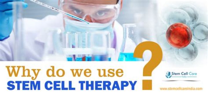 Why Should stem cell research be illegal