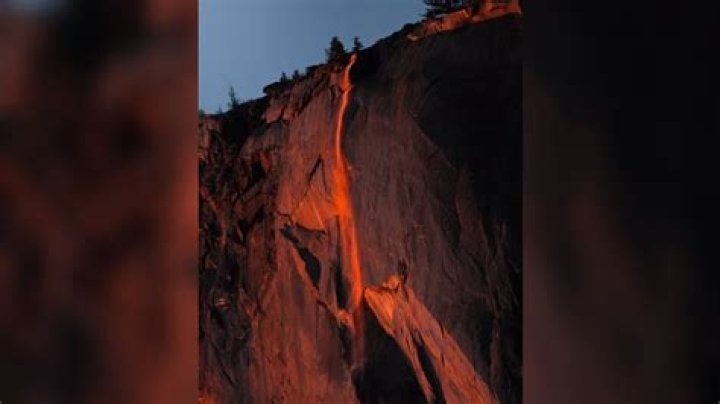 Why was Firefall shut down