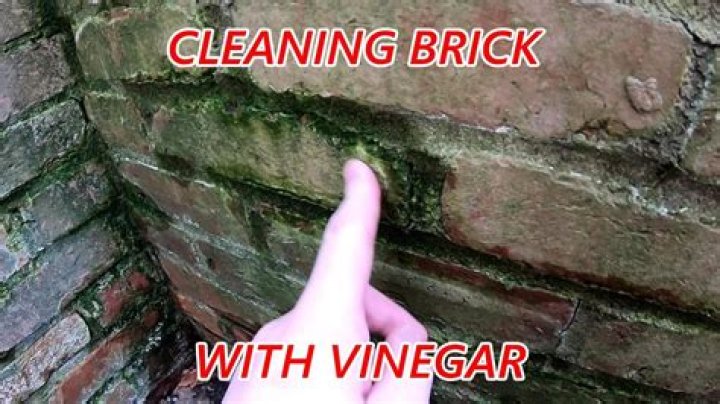 Will vinegar damage bricks